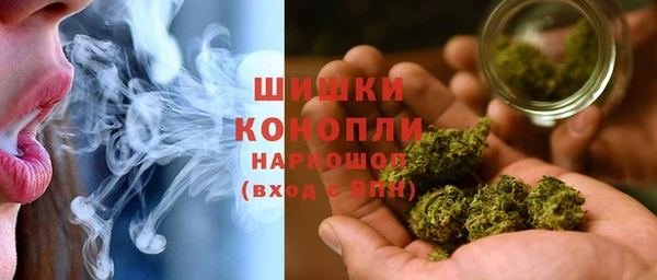 прущие грибы Козловка