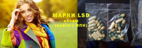 ПСИЛОЦИБИНОВЫЕ ГРИБЫ Кодинск