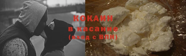 прущие грибы Козловка
