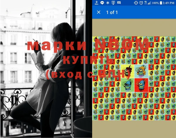 прущие грибы Козловка