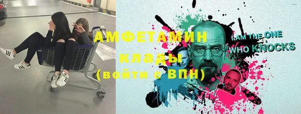 прущие грибы Козловка