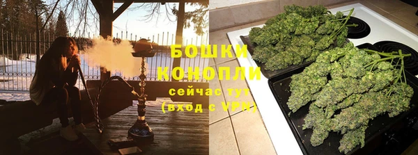 стафф Козельск