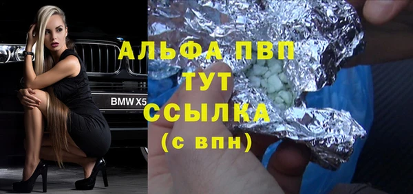 стафф Козельск