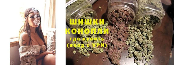 ПСИЛОЦИБИНОВЫЕ ГРИБЫ Кодинск