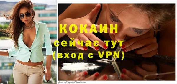 стафф Козельск