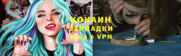 ПСИЛОЦИБИНОВЫЕ ГРИБЫ Кодинск